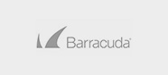 barracuda